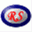 rasch-it-solutions.de