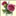 diahman.com