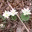 gracelog.wordpress.com