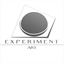 experimentart.net