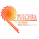 pulchralab.com