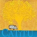 institutocatitu.org.br