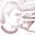 jessepaath.wordpress.com