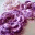 craftykitty.wordpress.com
