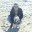 alexwebnet.wordpress.com