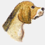 beaglemeuteowl.de