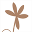 simplesolution.com.au