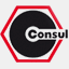 consul-gmbh.com