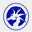 bluedragondojo.com