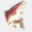 acbbps.essilog.fr