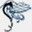 surftripcorp.com