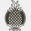 pineapplepress.net