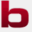 bwsi.com