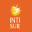 intisur.com