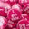 mypinkink.me