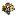 floresfreesia.es