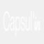 capsul-in.es