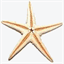 e-sianozety.pl