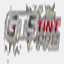 gtstintpro.com