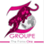 zgroupe.org