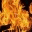 fireobserver.wordpress.com