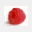 raspberrycapital.com