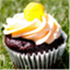 thecupcakegarden.ca
