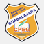 cpeg.com.br