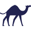 startupcamel.com