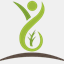 csa365.org