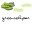 greenselipar.com