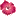 boraboraromantic.com