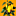 mangotime.ch