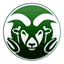 cdcheerleading.org