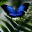 plips.wordpress.com