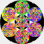 magisoptis.org