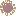 irisvision.net