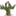 caorvi.com