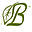 botanicabasics.com