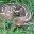 gatewaytogreenliving.wordpress.com