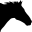 theexquisiteequine.com
