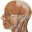 leeware.wordpress.com