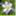 gardenallie.wordpress.com