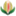 niztat.com