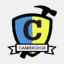 carelectronicsforum.com
