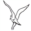 gaviotacoastconservancy.org