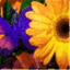 heesbees.wordpress.com