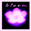 bloom-la.com