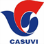 casuvi.com