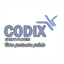 codixservices.com